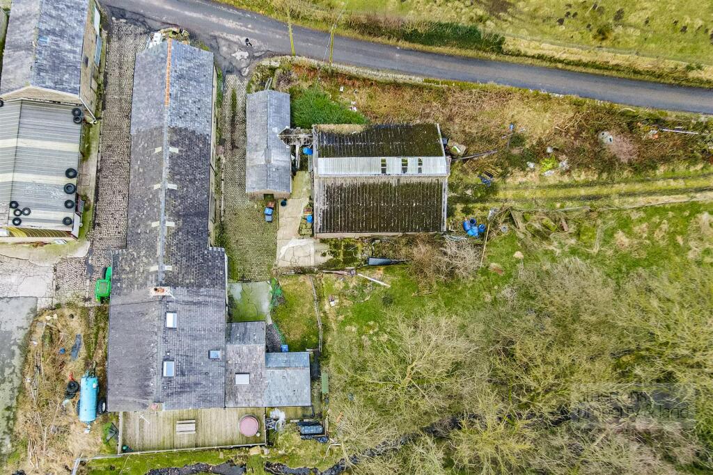 DJI_0667.jpg