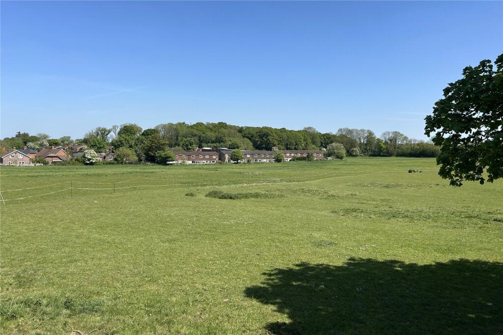 Rear Fields