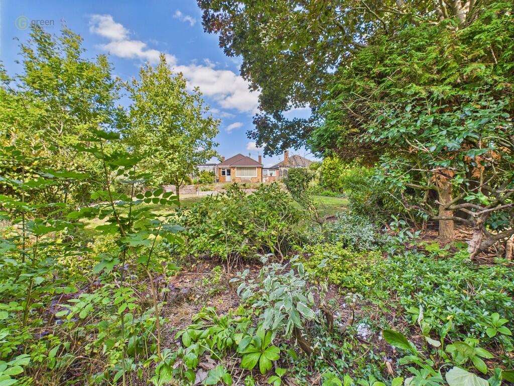 CAM03830G0-PR0196...