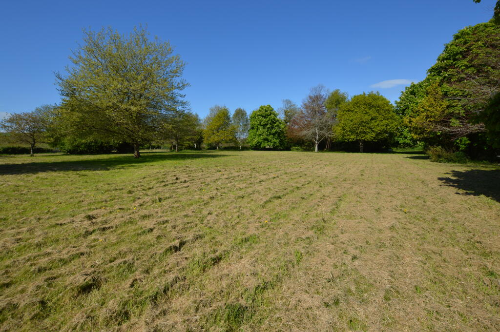 DSC 0180 T202508011154.jpg