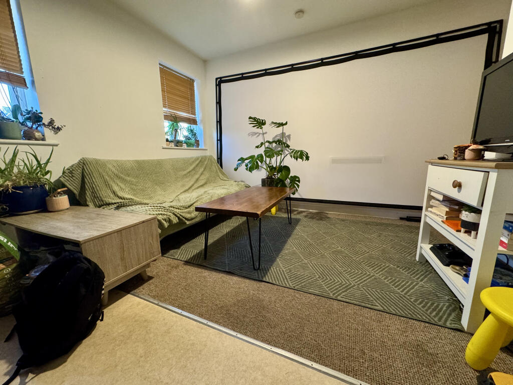 Kitchen/Living Area