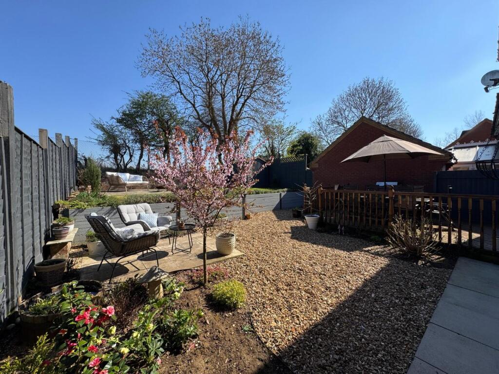 WhatsApp Image 2025-04-02 at 20.36.02_70ee41fa.jpg