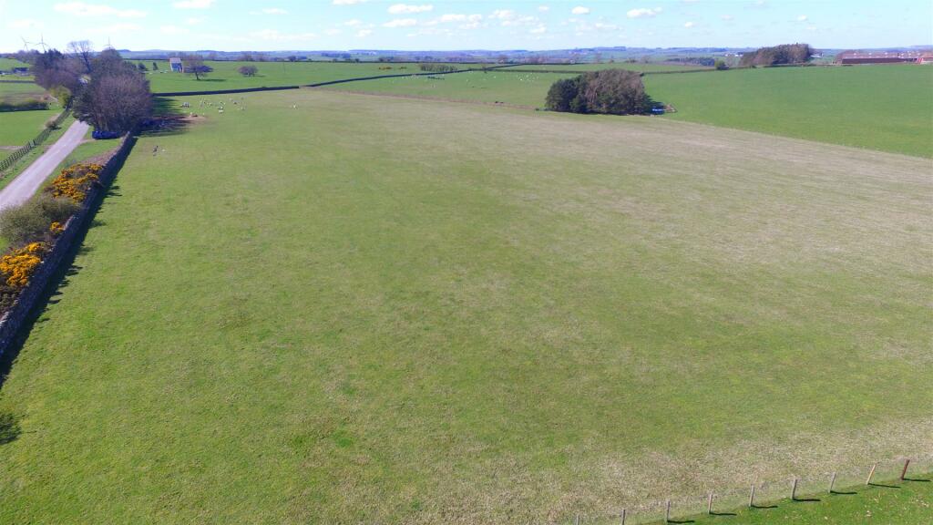 DJI_0529.JPG