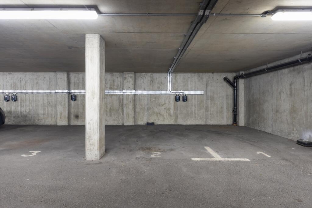 Lion Court F2 (24...