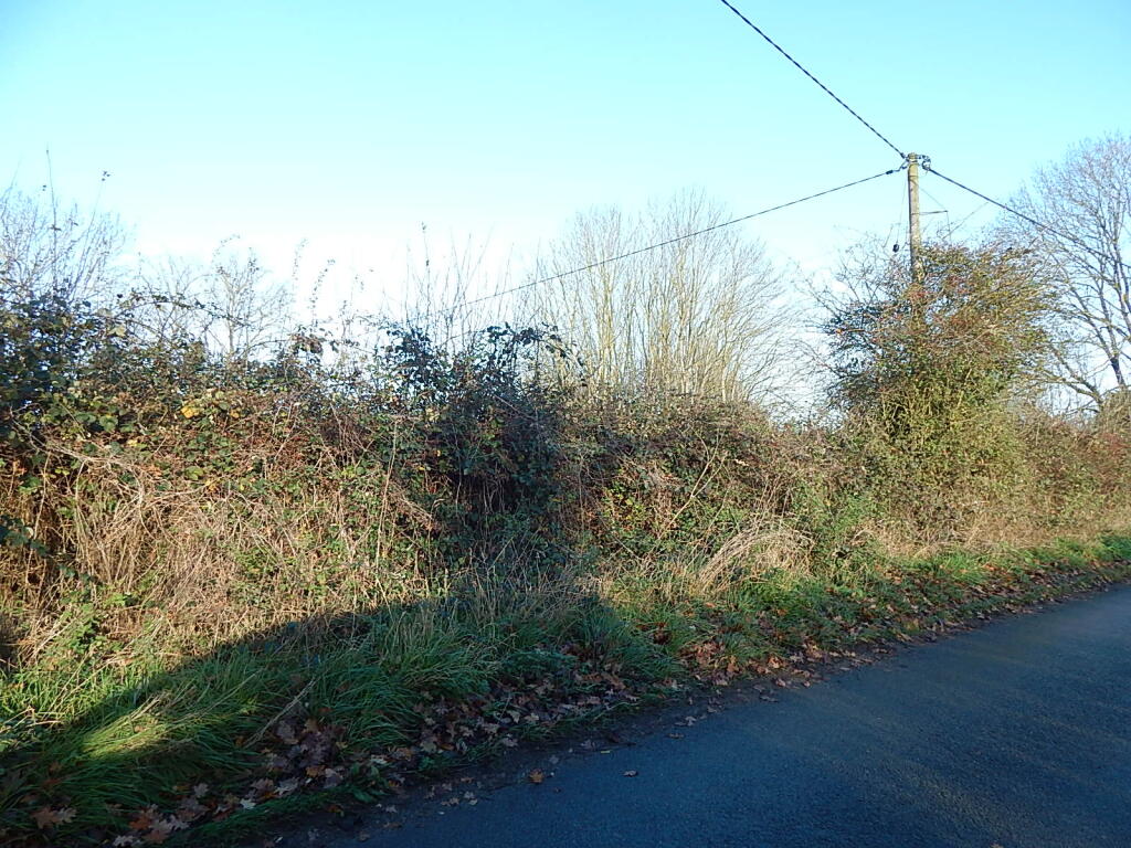 10 T202502241327.jpg