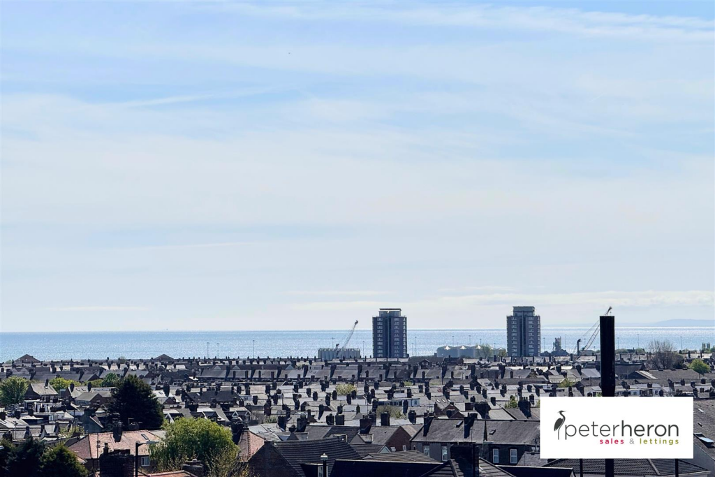 City Skyline Views