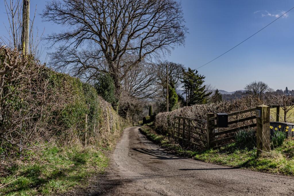 Driveway