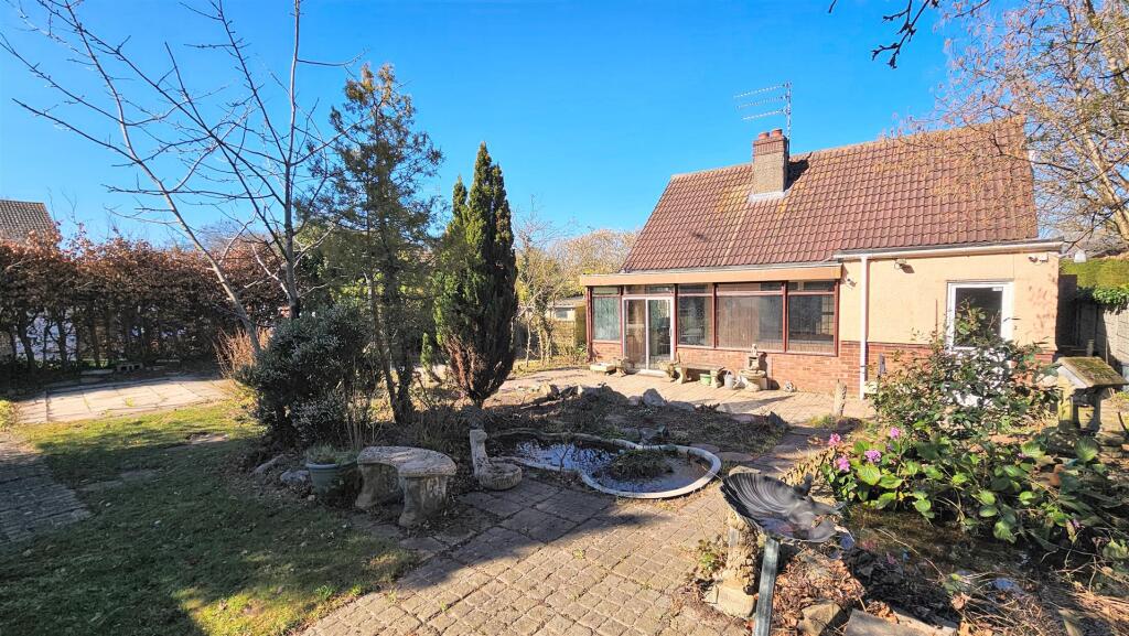 Back Garden