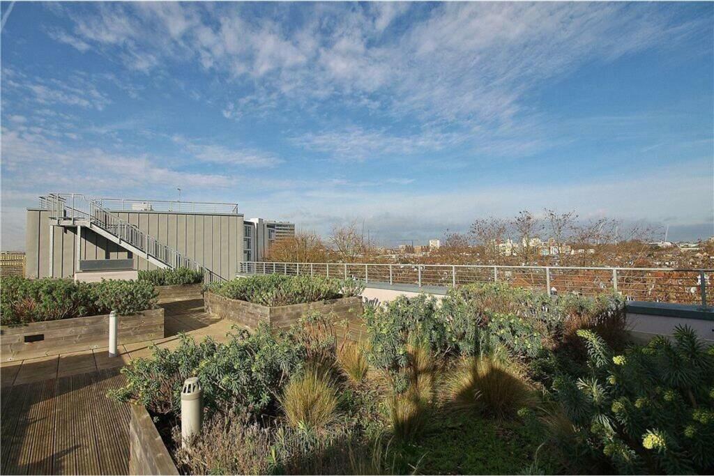 Roof Terrace