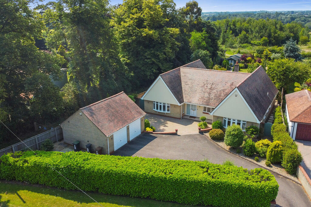 PT-DB(WP)-Brindle...