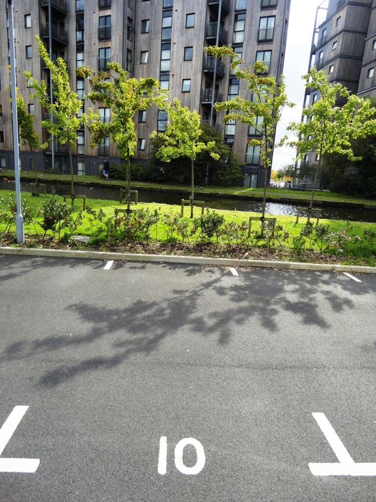 Allocated Parking