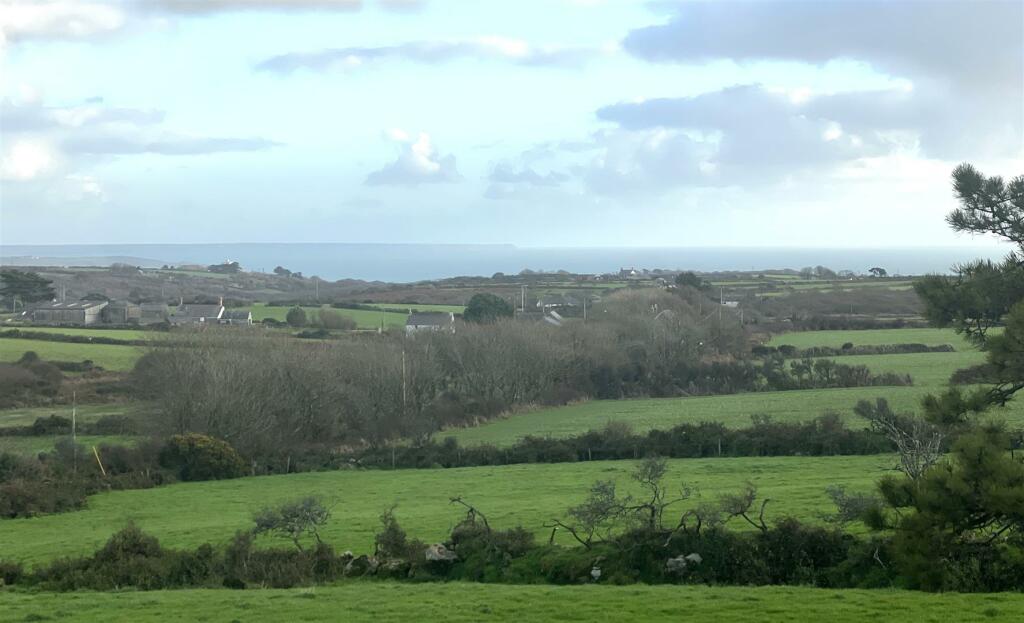 View from garden