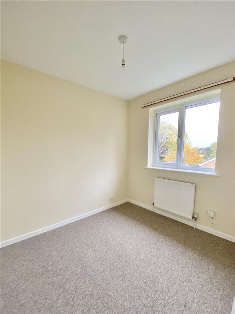 3 newham-10.jpg