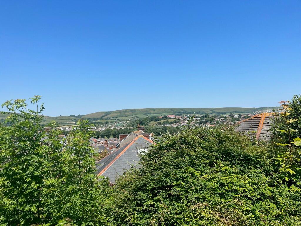 View from garden