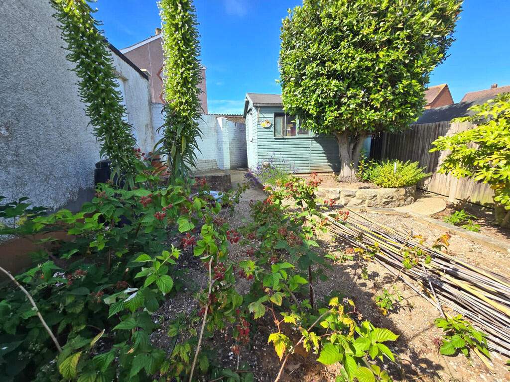 Garden (6)