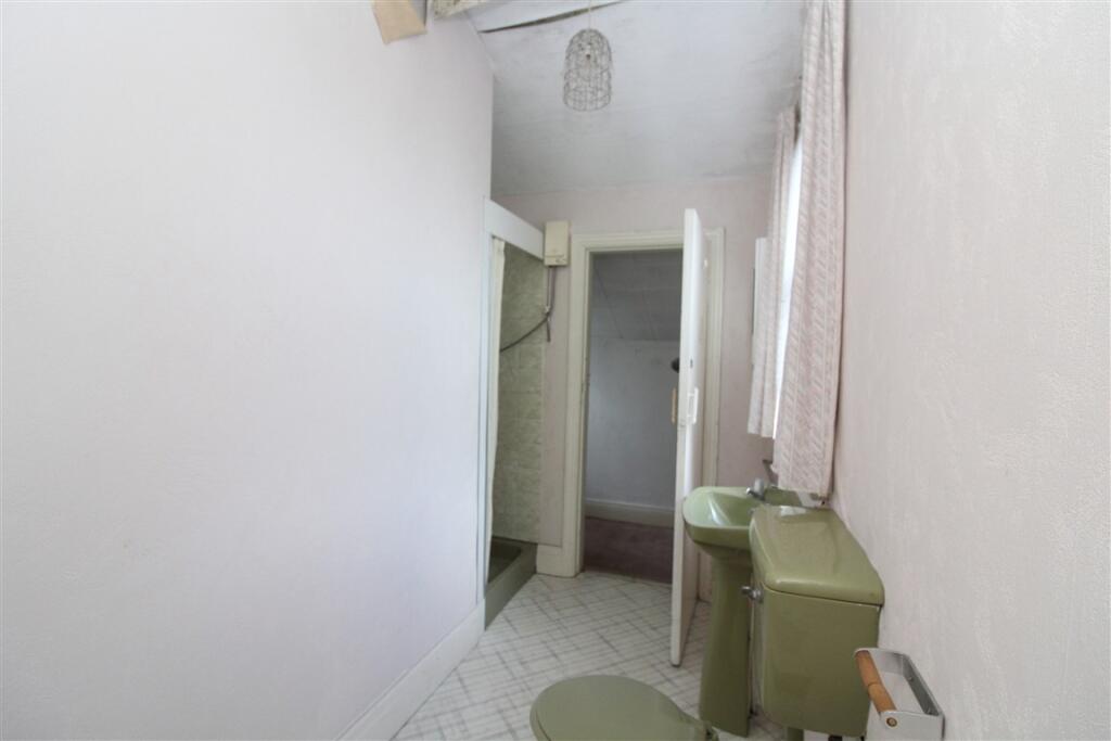 IMG 6528  Medium  T202509101545.jpg