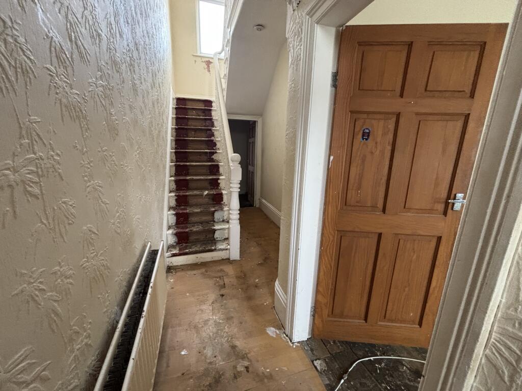 IMG 3115 T202510301150.jpeg