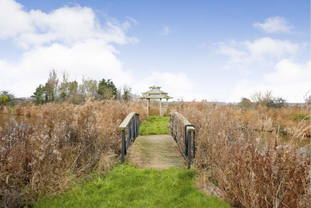 Grounds