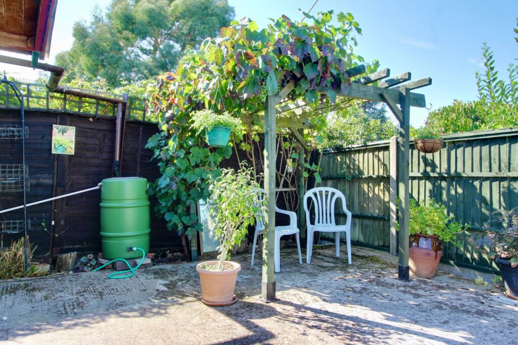 Pergola with Grapes