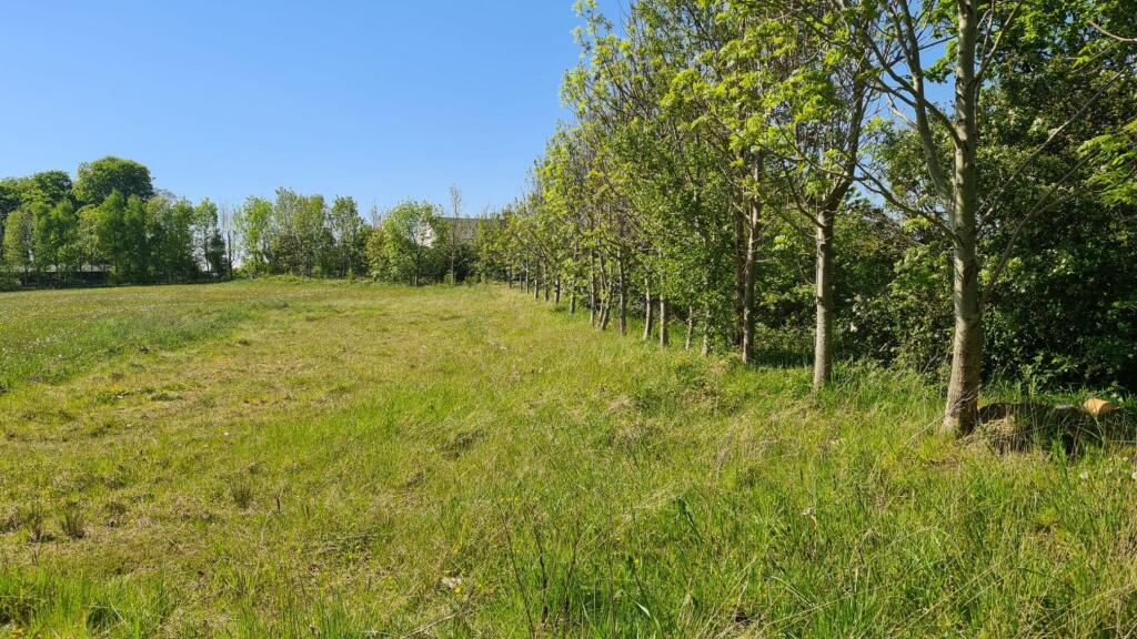 4.9 Acres of Agricultural Land
