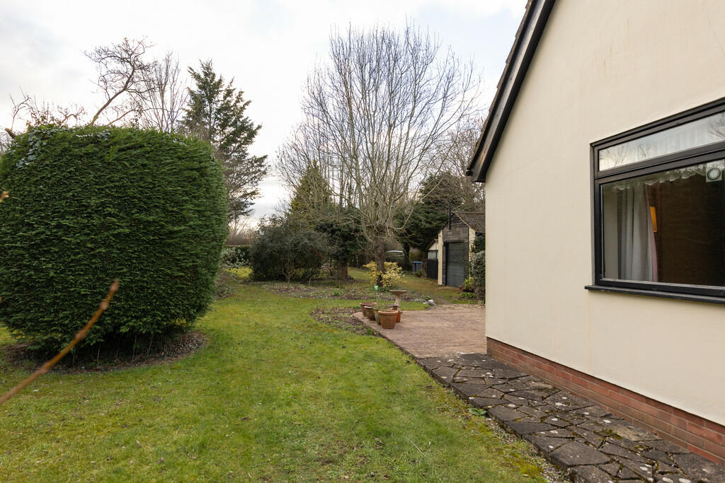 Front garden 