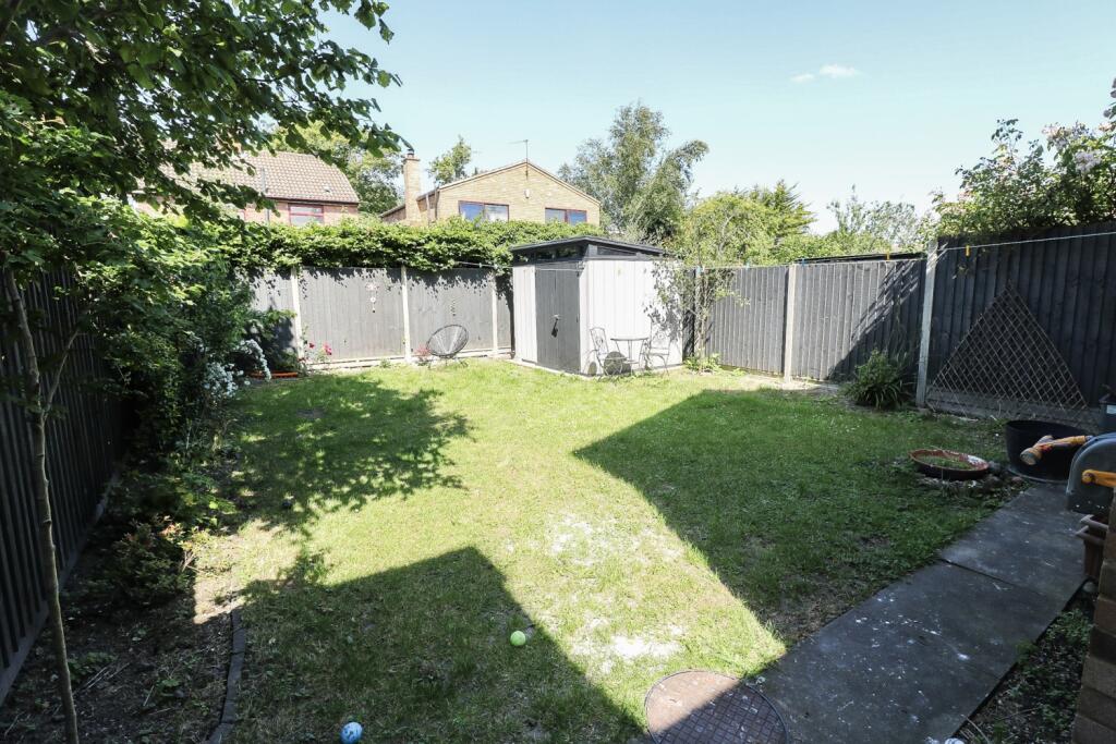 Back garden