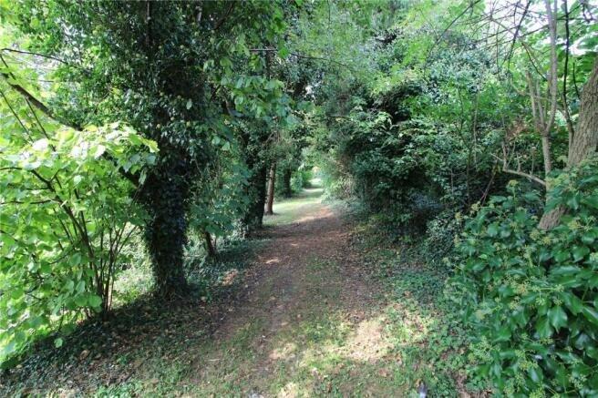 Woods