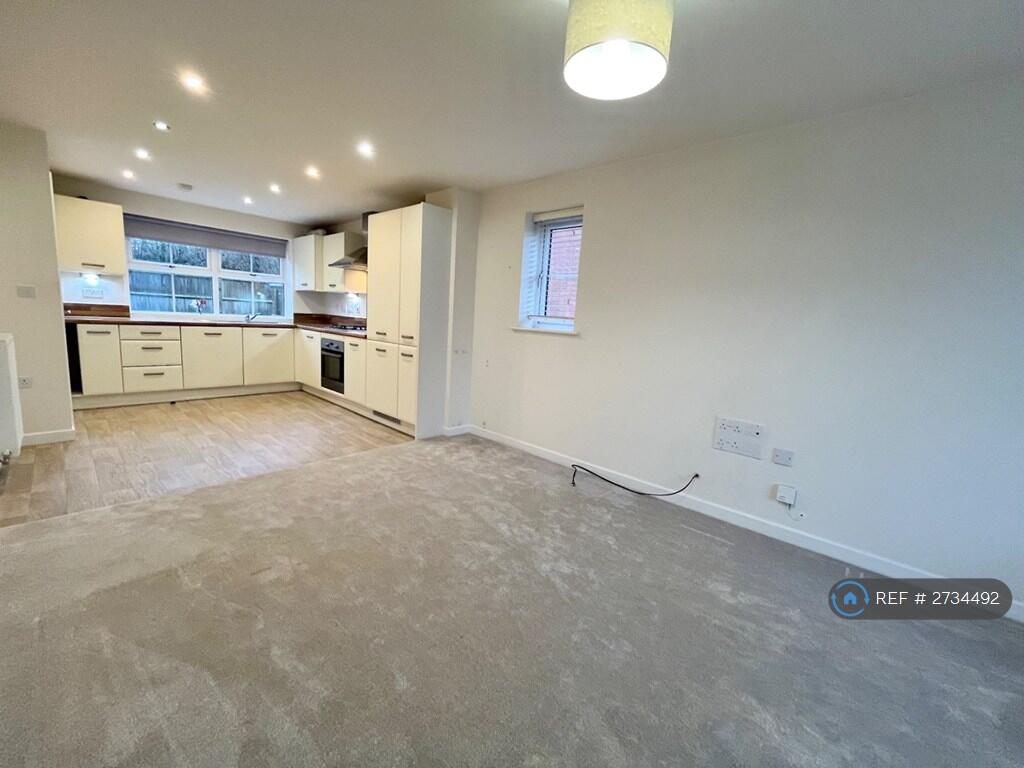 Living / Kitchen Area