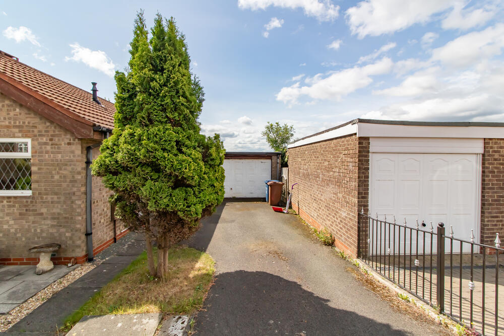 IMG 7802 T202507041441.jpg