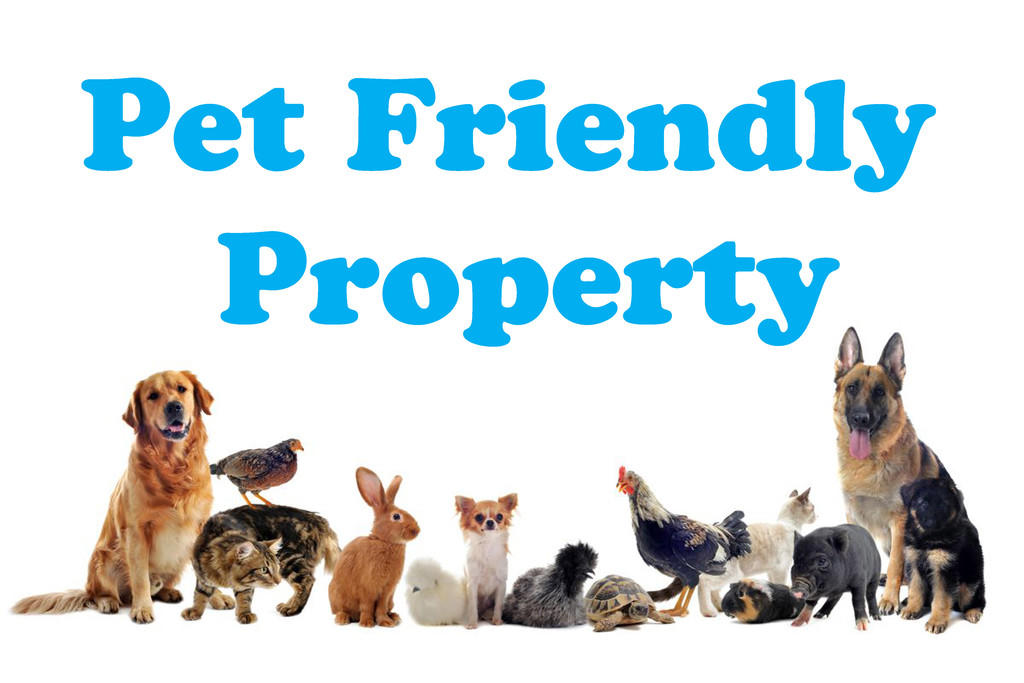 Pet Friendly