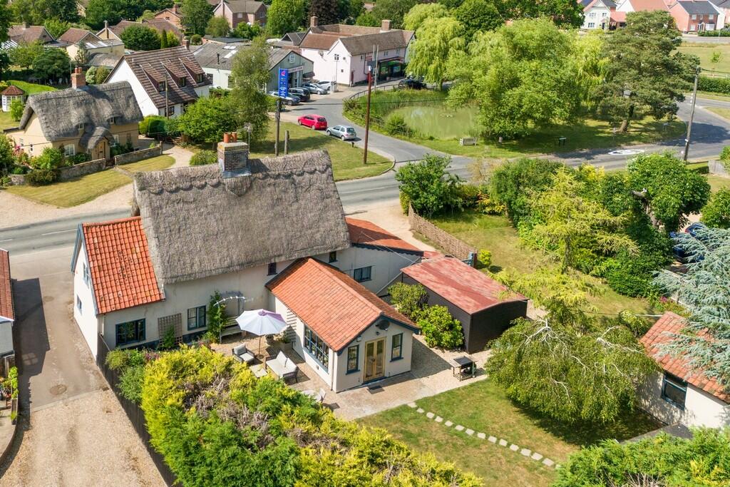 1440px Beech Tree...