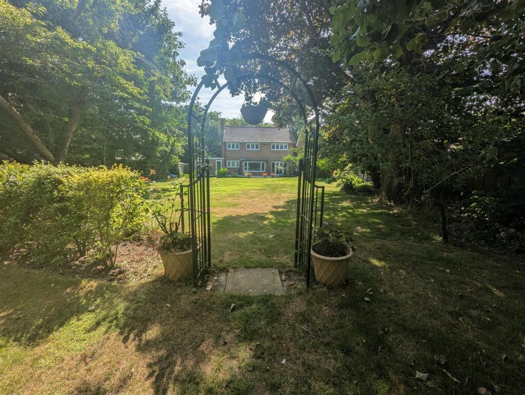 garden 3.jpg