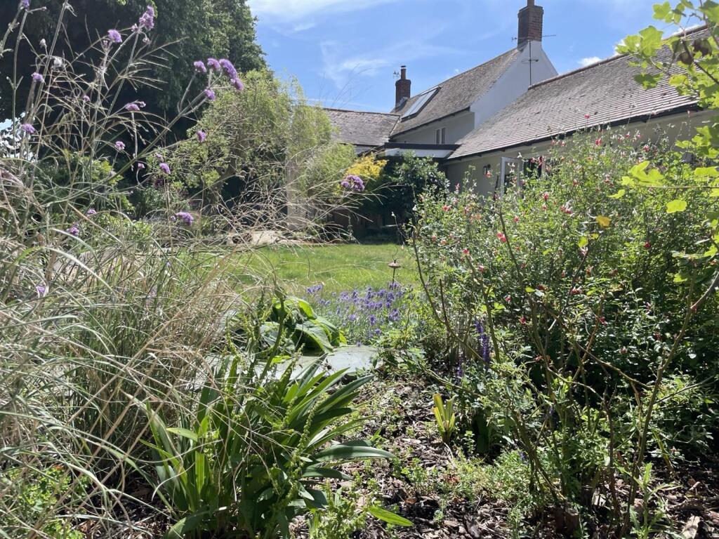 IMG_6694.jpeg