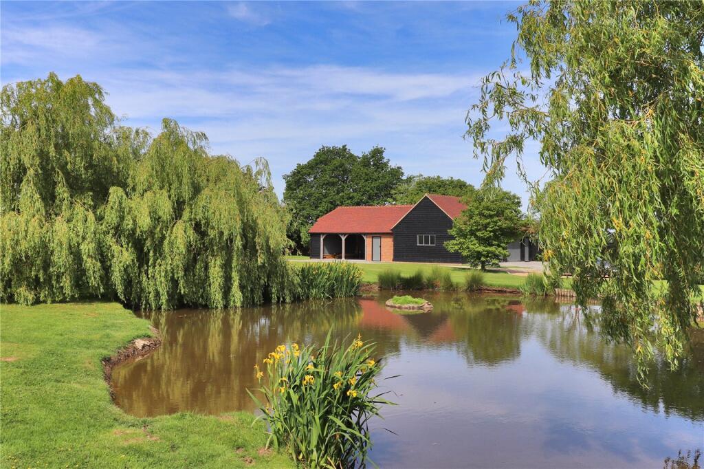 View From Pond