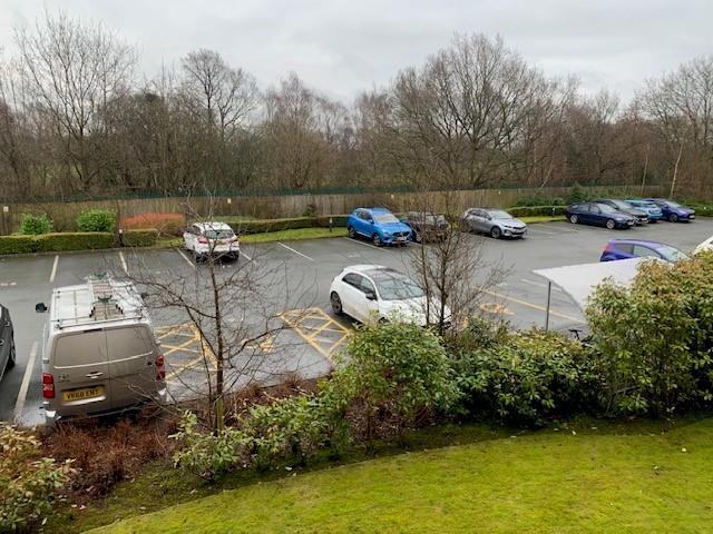 View from Master Bedroom
