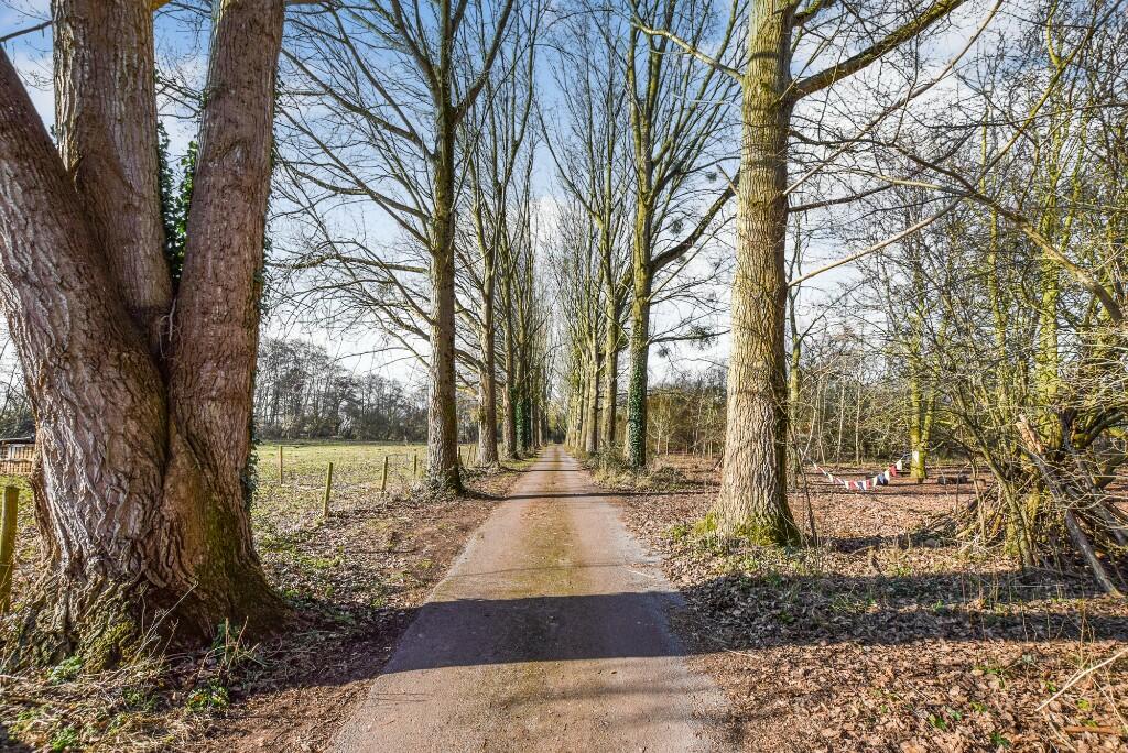 Driveway