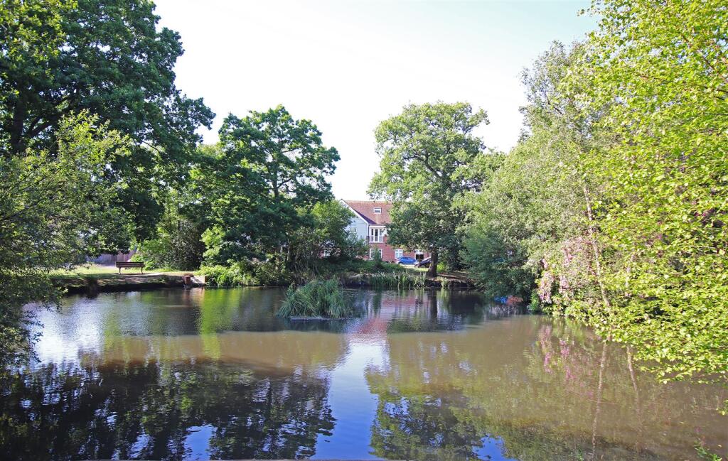 Lake 3.jpg