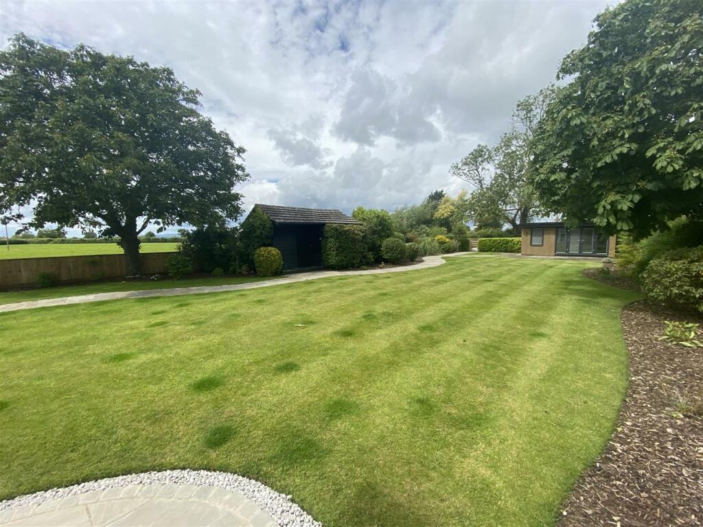 garden.JPG