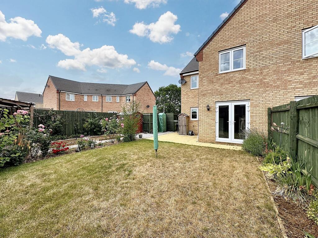 Back Garden
