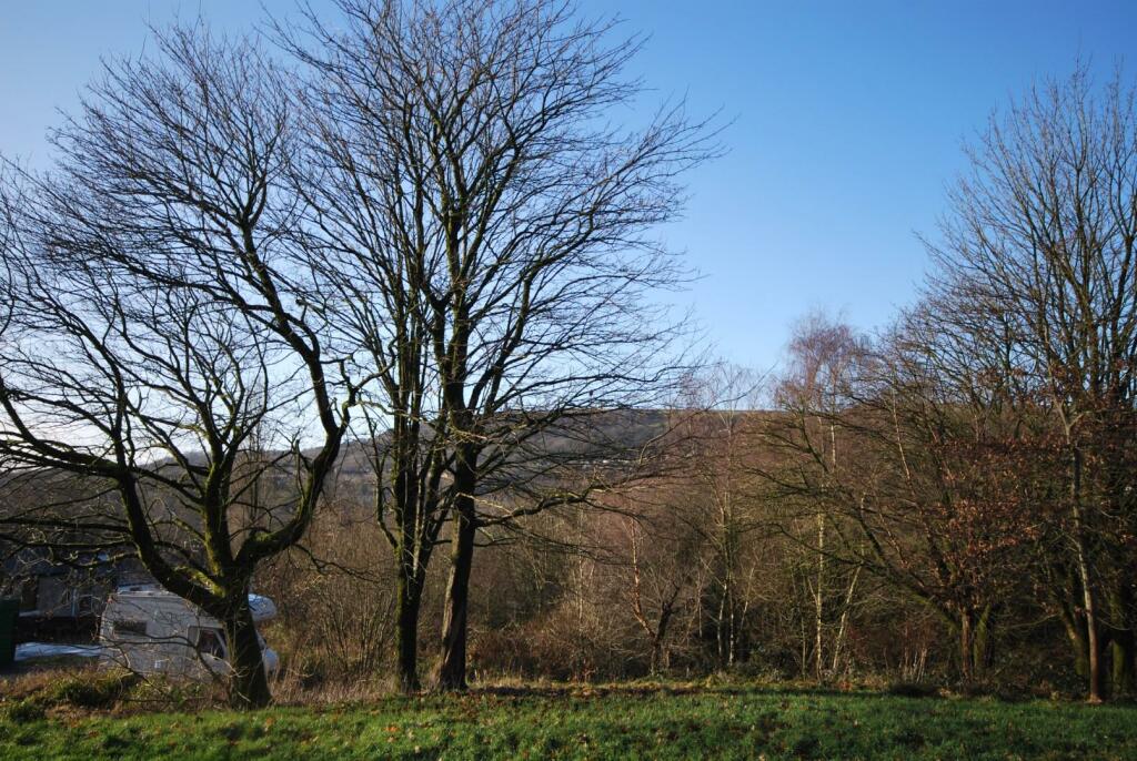 DSC_2702.JPG