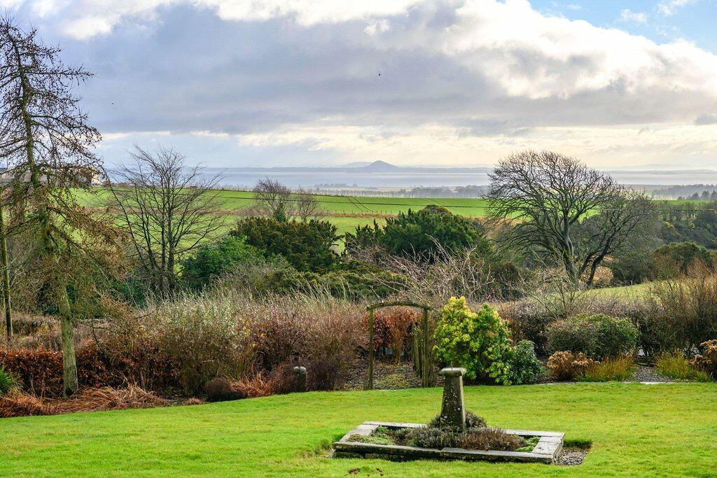 Garden With View