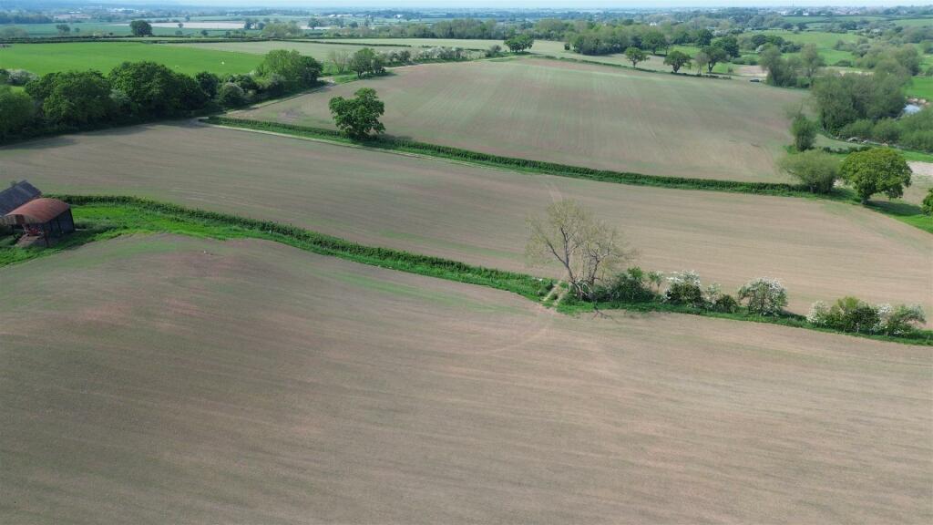 DJI_0533.JPG