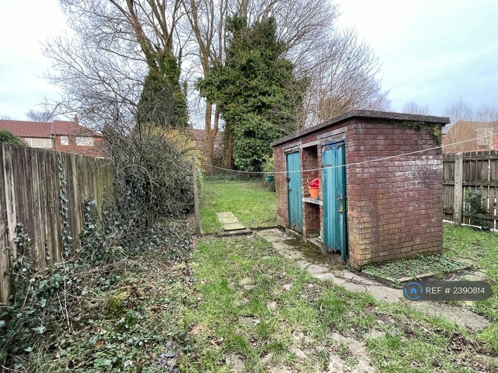 Back Garden