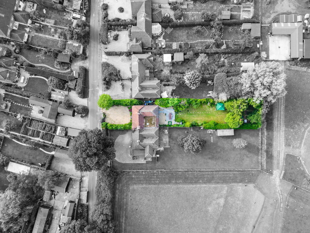 31-web-or-mls-7 M...