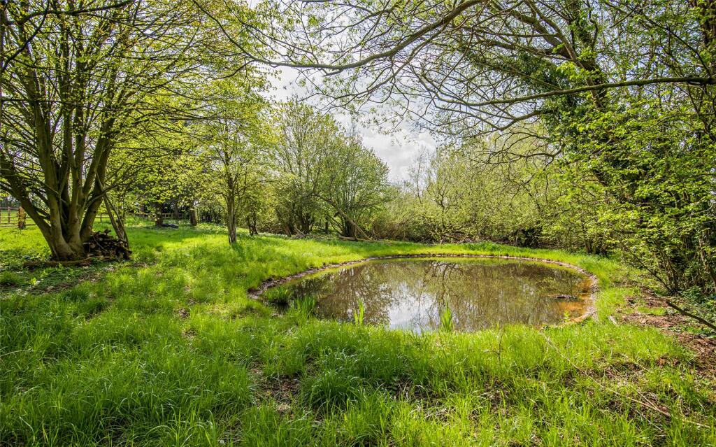 Wildlife Pond
