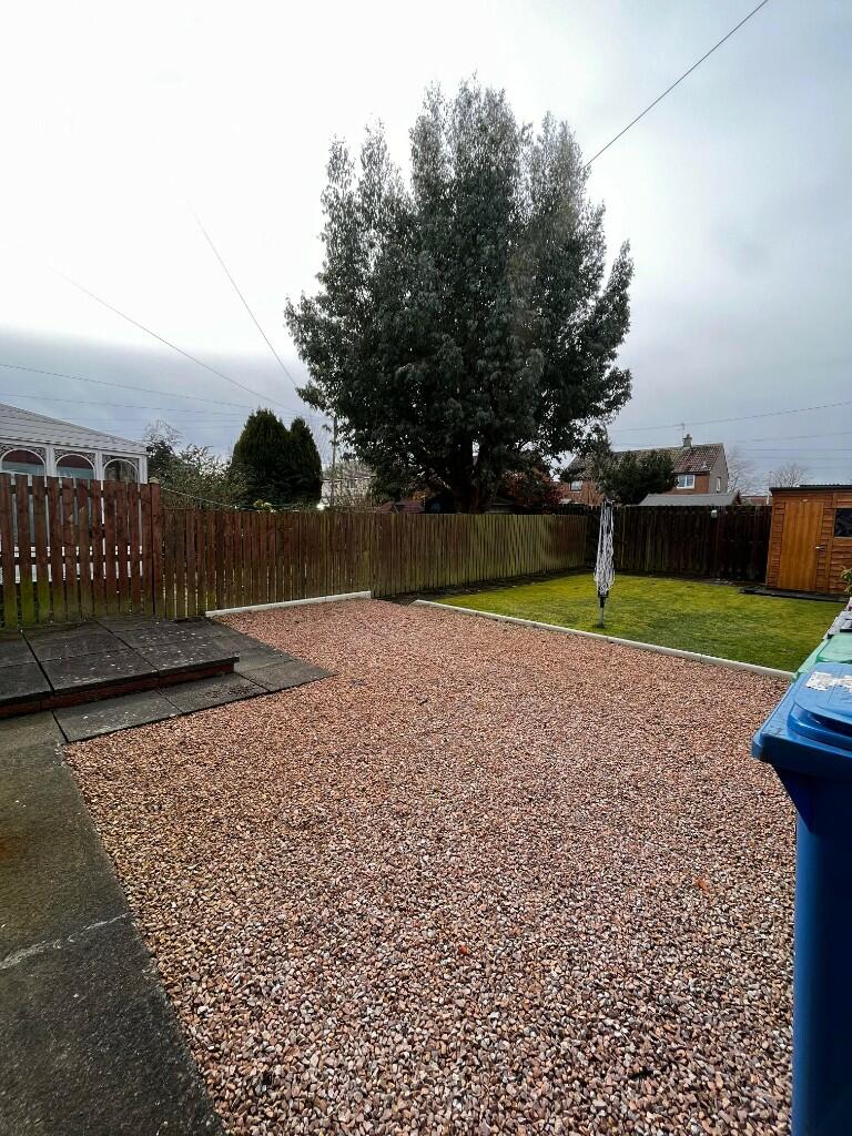 Back Garden