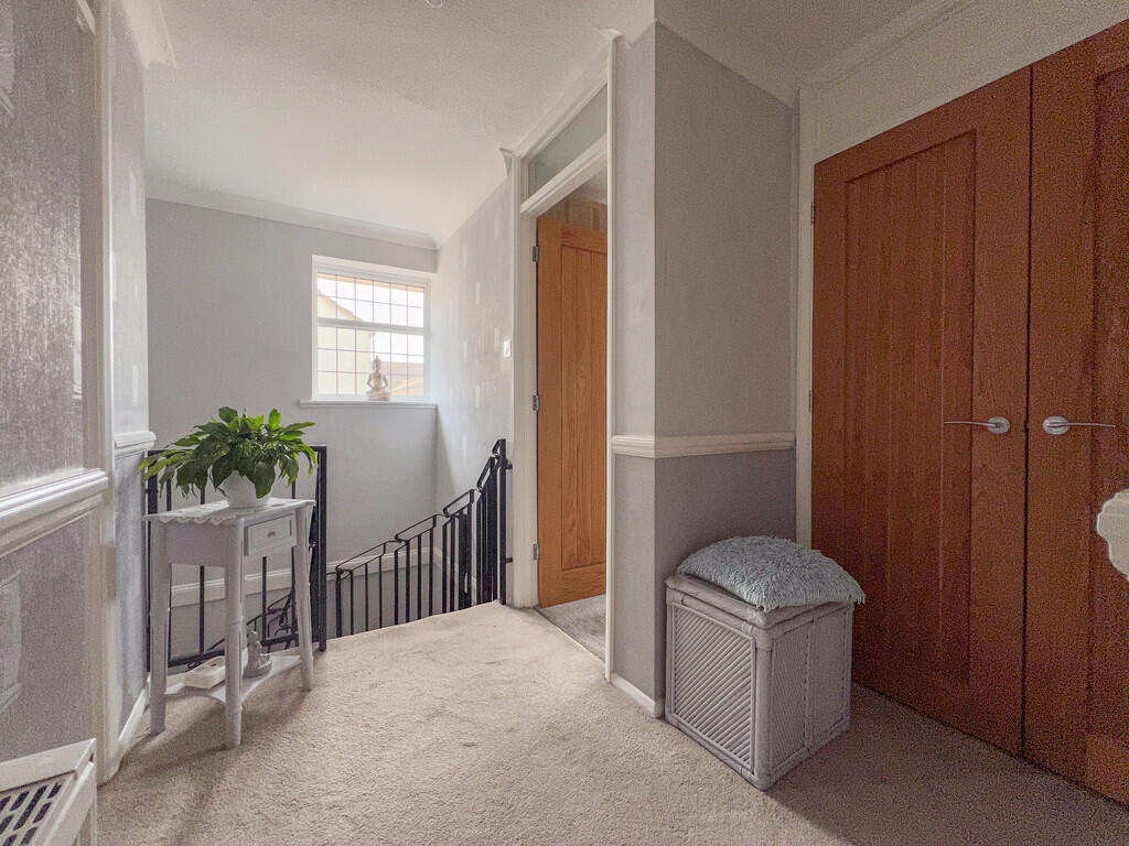 IMG_16942_17_larg...