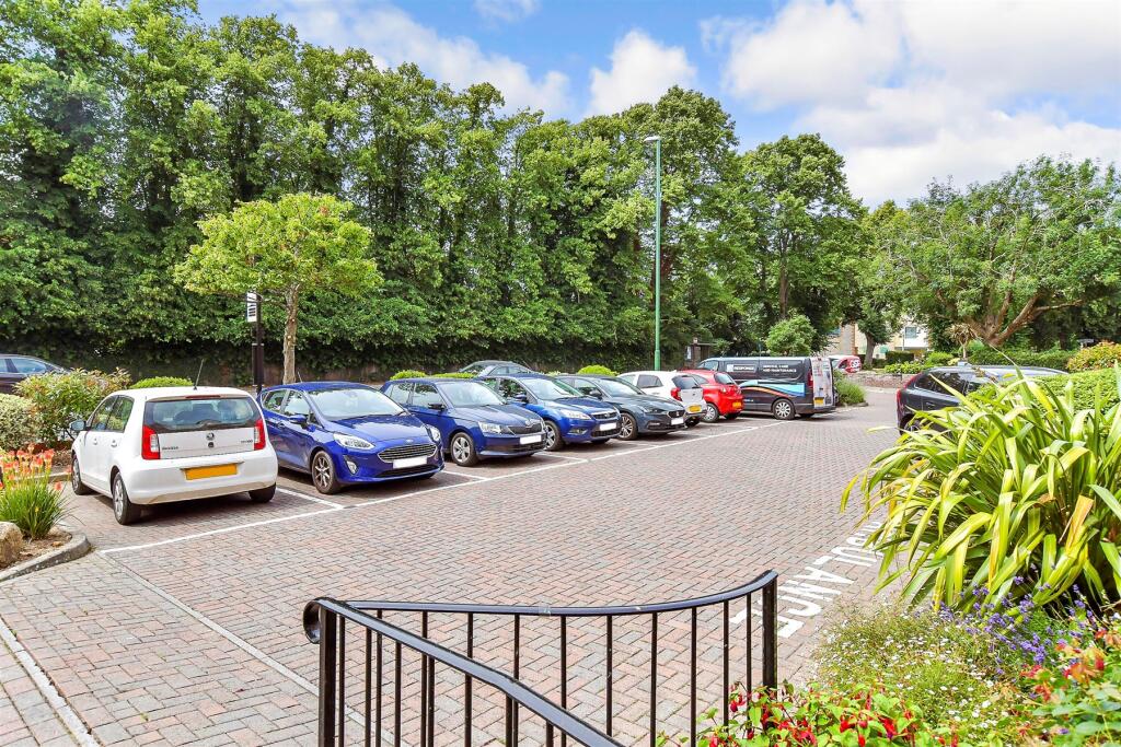 Driveway/Parking