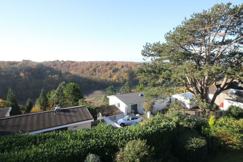 View Four.jpg
