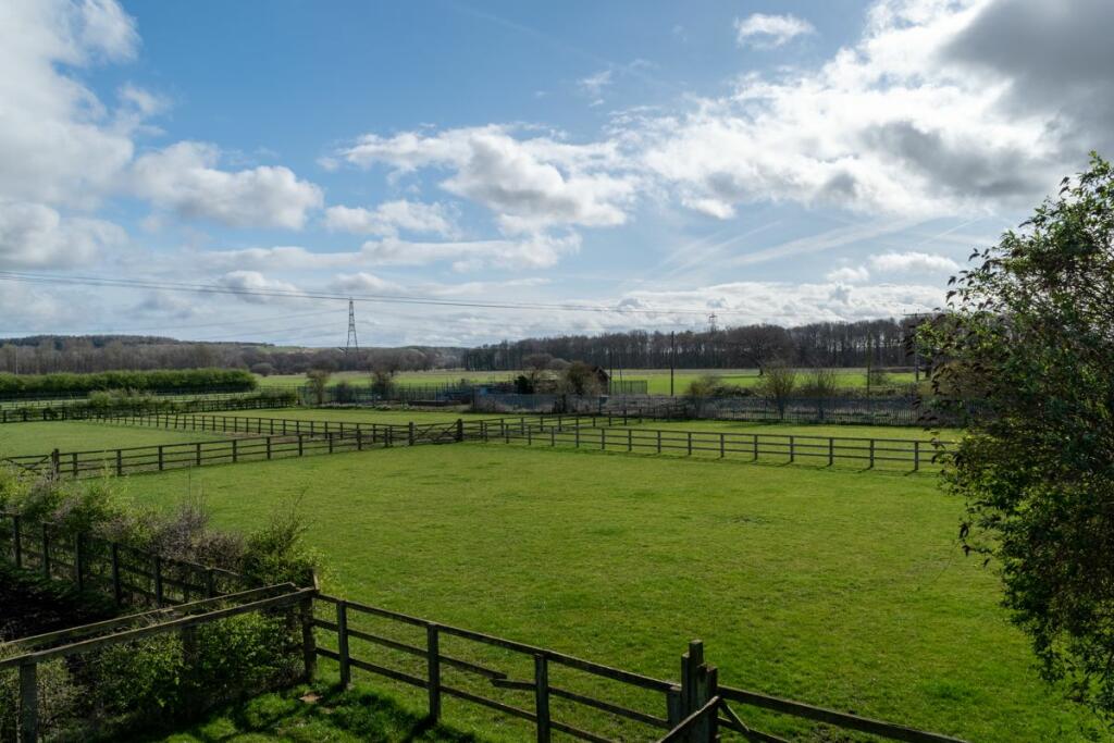 Paddocks